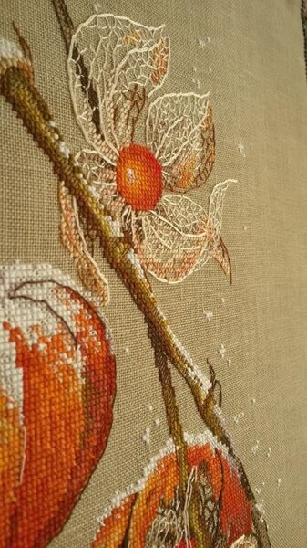 12573103 998810120157404 7465534133666826043 n