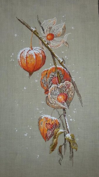 12573654 998809956824087 4797278519029998487 n