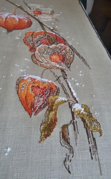 12573961 998810093490740 3768150933950669774 n