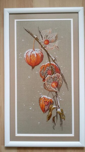 12644726 1004181889620227 2206282226640860775 n