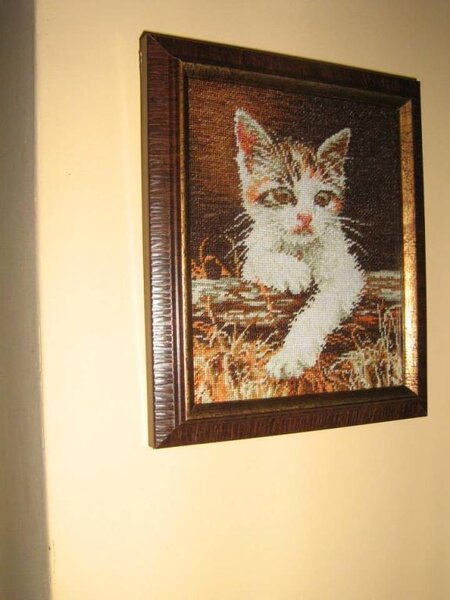 1391549 608731735831913 1963439416 n