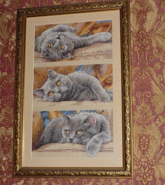 Кот Макс от Дименшенс