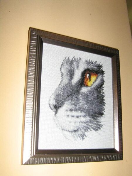 1422407 608731732498580 1365300426 n