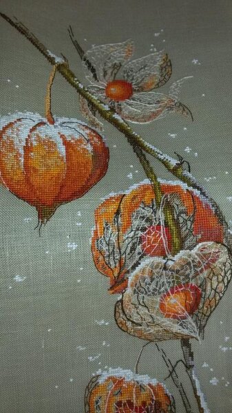 1934856 998810100157406 4644812902139684059 n