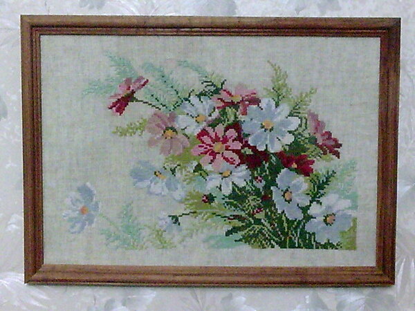 Копия космеи