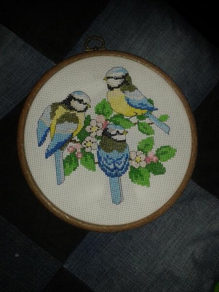 15016283 10209822344267819 8926168407585814580 o