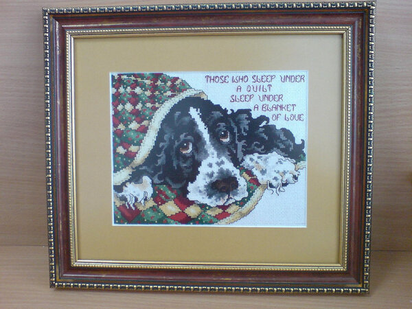 Спаниелька