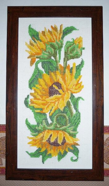 подсолнухи висят у мамы на кухне