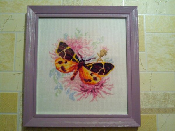 Бабочка 1
Моя первая вышивка. Вышивала около месяца с большим удовольствием))