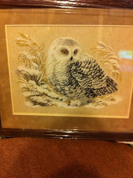 Риолис,"Белая сова"