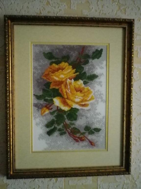 Желтые розы (РС студия)