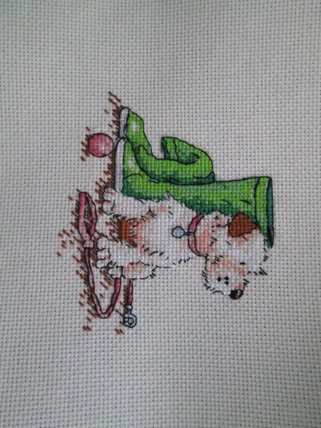 Участвовала в авантюрке