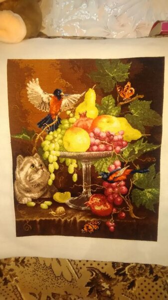 Староголландский натюрморт, Набор золотое Руно, пока не оформлен