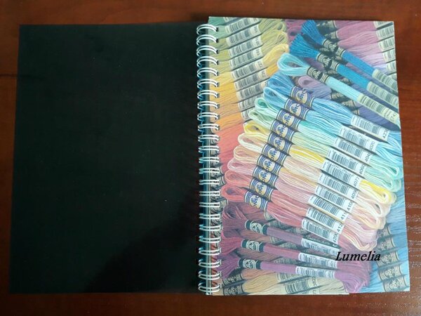 Брошюрка со всеми остальными номерами DMC, не арт.117! Вариант оформления с прозрачной синей обложкой. 10 стр. + 2 стр. поисковика. 80 грн.