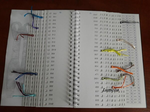 Брошюра со всеми номерами мулине DMC арт. 117, 463 оттенка. 16 "новых" оттенков длиной 10 см в 6 сложений уже на своих местах. Обложка - прозрачная синяя ПВХ. 20 стр + 2 стр поисковика. Вид разворота. 100 грн.