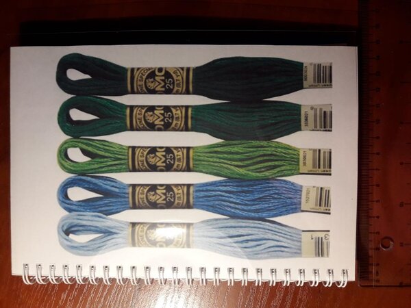 Пустая брошюрка со всеми номерами хлопкового однотонного мулине DMC с 01 по 3895. 23 страницы. Обложки ПВХ - прозрачная титульная и синяя задняя. 100 грн