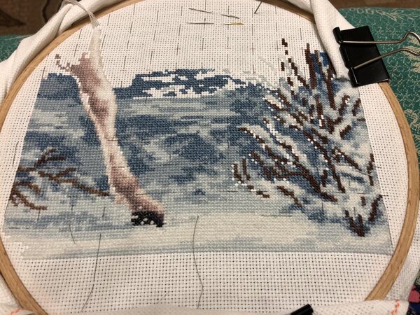 Волшебный лес Золотое руно, текущий процесс