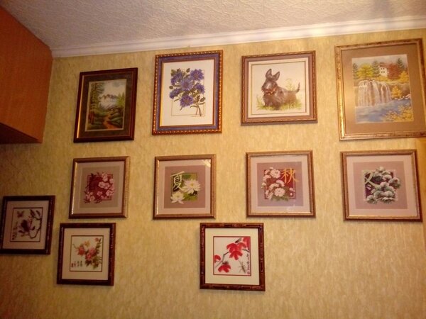 Стеночка)))
МП, Риолис, Панна, ЗР и Квадрос