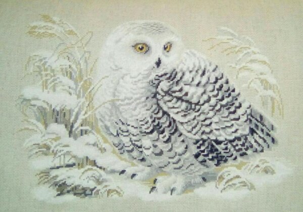 Полярная сова от Риолис