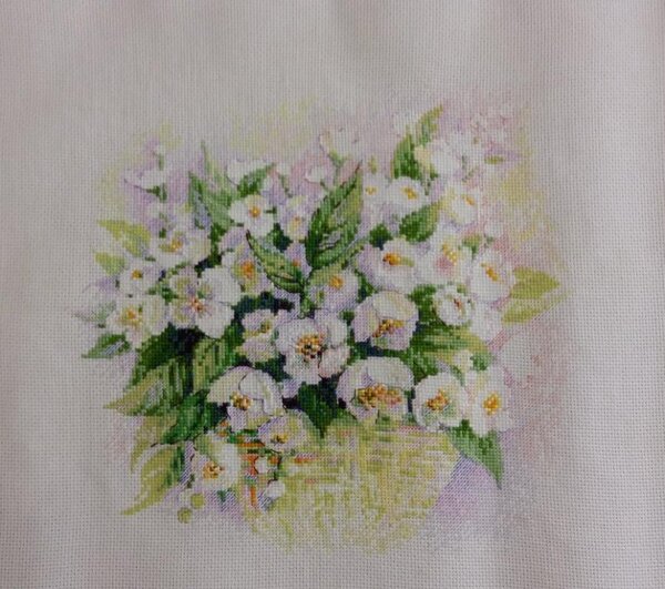 Риолис 1467 "Жасмин"