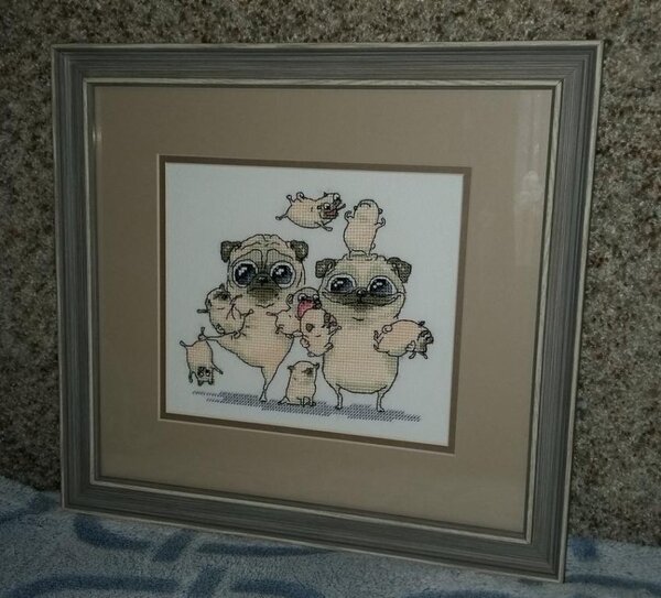 Семейка мопсов