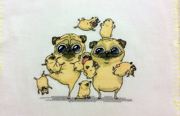 Семейка мопсов