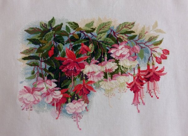 Риолис 1398 "Фуксия"