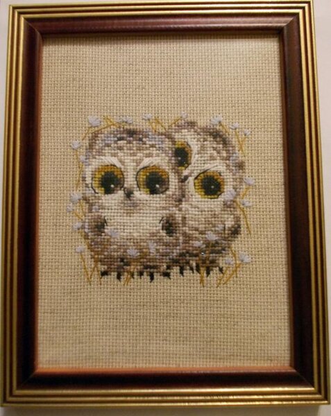 Риолис 1755 Маленькие совята