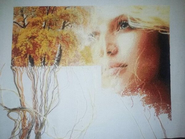 magical sova+InstaUtility  00 B32qPKeHLIG 11  1