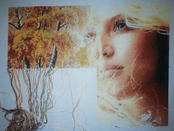 IMG 20191024 015016 01