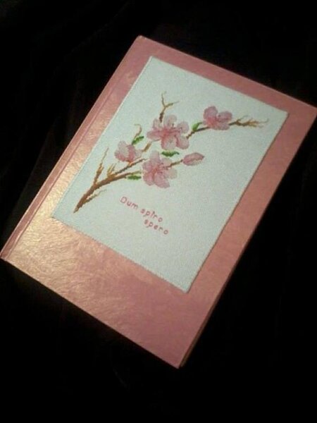 Luca-s "Ветка вишни". Стала обложкой блокнота.