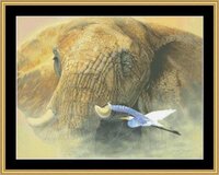 MS - Young Matriarch GS-24.jpg