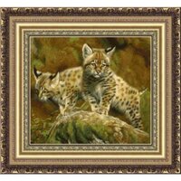 Леврон Малки диви котки.jpg