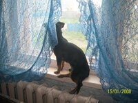 Изображение 113.jpg