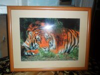 тигр в траве.jpg