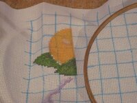 Изображение 2884.jpg