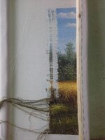 катенок поле.jpg