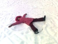 Снежный ангел.jpg