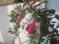 Изображение 289.jpg