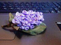 2016-01-31 19-14-52.jpg