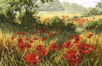 ANCHOR - A Host Of Poppies.jpg