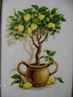 Лимонное дерево (4).jpg