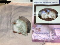 Файл 01.02.2018, 19 13 04.jpg