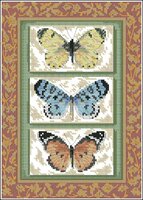 Dimensions - 06914 - Butterfly Triplex.jpg