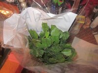 Изображение 2854.jpg