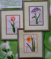 Frezia Tulipan Narcisz.jpg