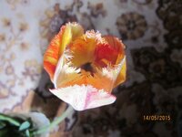 Изображение 2613.jpg