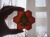 Изображение 32284.jpg