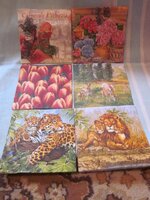 Изображение 1478.jpg