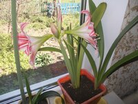 Изображение 287898.jpg